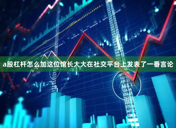 a股杠杆怎么加这位馆长大大在社交平台上发表了一番言论