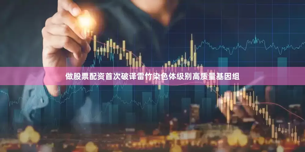 做股票配资首次破译雷竹染色体级别高质量基因组