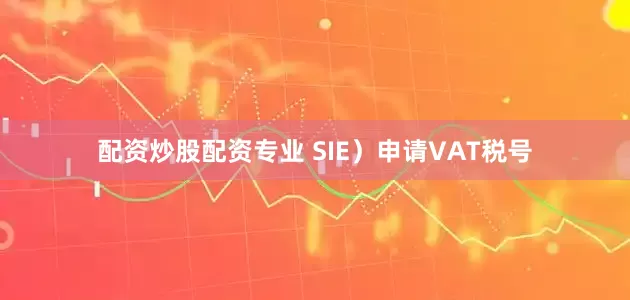 配资炒股配资专业 SIE）申请VAT税号