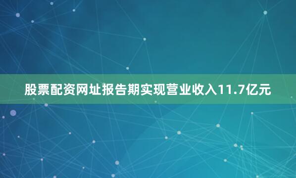 股票配资网址报告期实现营业收入11.7亿元